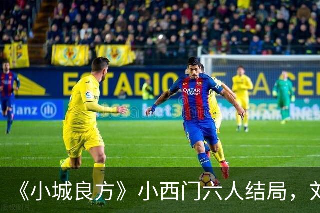 《小城良方》小西门六人结局，刘铮亮继任院长，陈俊南创业