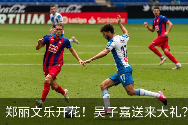 郑丽文乐开花！吴子嘉送来大礼？最新民调再次反转，蓝营1地稳了
