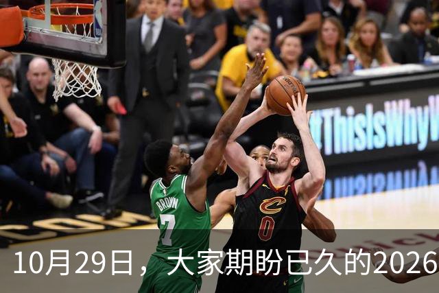 10月29日，大家期盼已久的2026退休养老金，究竟涨还是不涨？